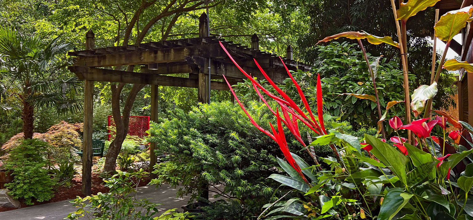 The Asian Garden
